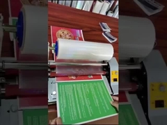 A4 Boyutlu Örnek Soğuk Laminasyon İçin Şeffaf Holografik BOPP Film